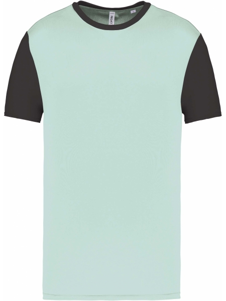 t-shirt-personalizzate-uomo-manica-corta-bicolore-top-tex-ice mint - dark grey.jpg